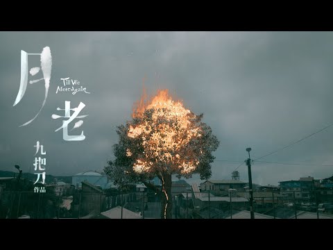 電影《月老》官方前導預告｜Till  We Meet Again Official Teaser Trailer｜2021年暑假 thumnail