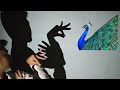 How to Make a Peacock with Your Hand Shadow