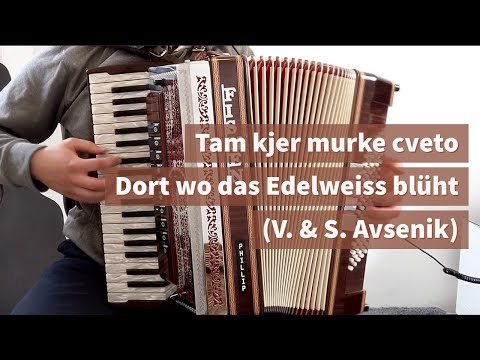 Tam kjer murke cveto - Dort wo das Edelweiss blüht (V. & S. Avsenik)