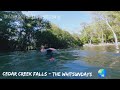 Cedar Creek Falls - The Whitsundays.