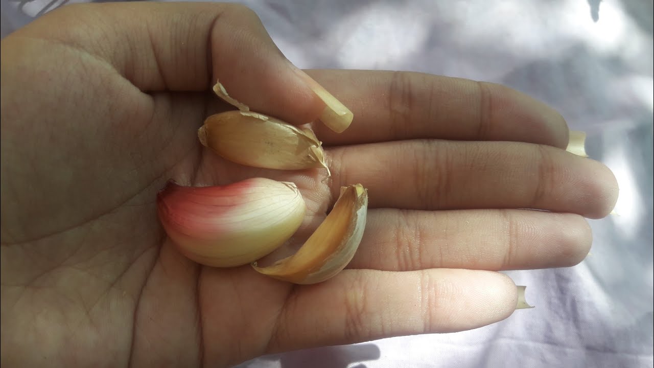 SIMPATIA COM ALHO PRA REALIZAR 3 DESEJOS