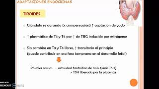 Adaptaciones fisiológicas al embarazo - Profundizaciones