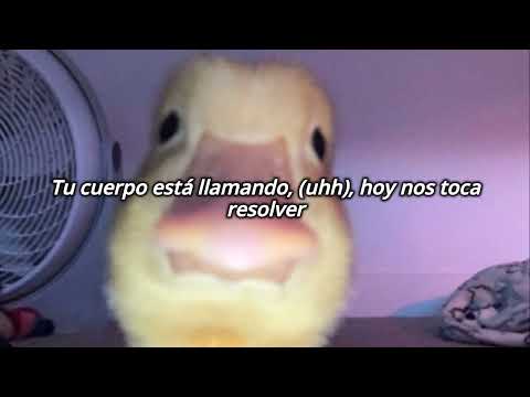 Young Rebxl,zika Boy, Giru Mad Fleiva,Thuglank, Rafael Cocoa-Vip