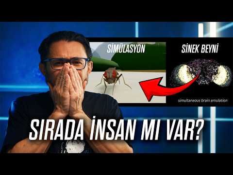 Sinek Beynini Bilgisayara Yüklediler (Ve Çalıştı)