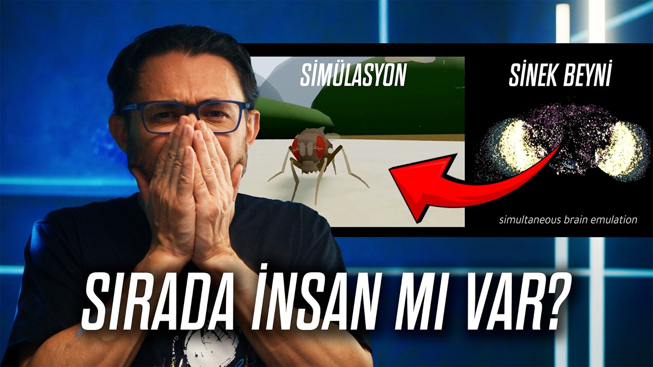 Bir Beyni Kopyaladılar. Sonra Hareket Etmeye Başladı!