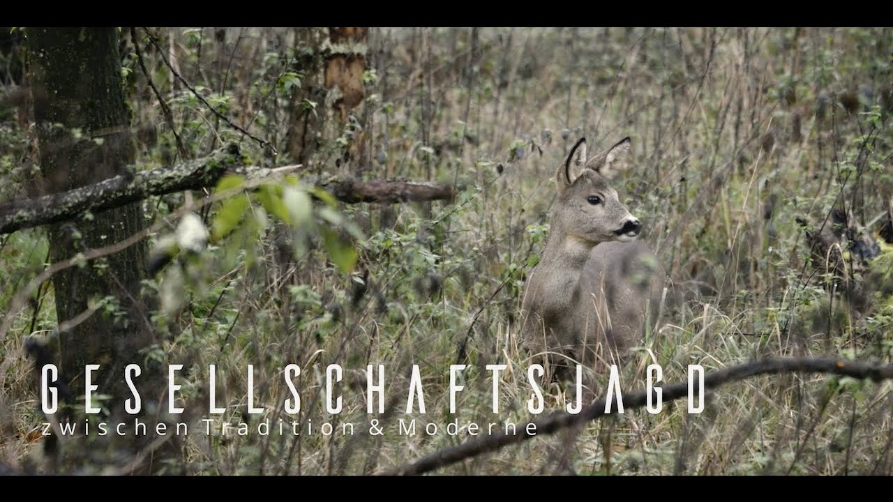 Die Gesellschaftsjagd - Zwischen Tradition und Moderne - Neuzeitliche Betrachtungen zur Jagd