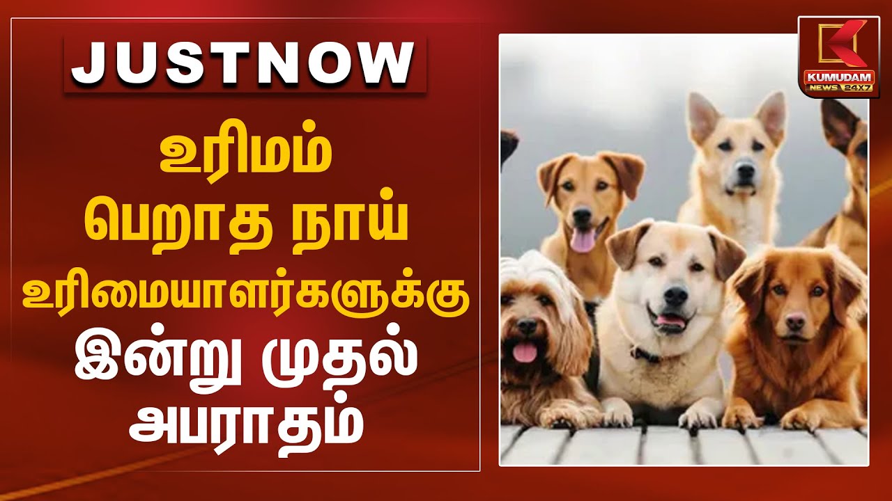உரிமம் பெறாத நாய் உரிமையாளர்களுக்கு இன்று முதல் அபராதம் | Dog pet | Dog License | Kumudam News