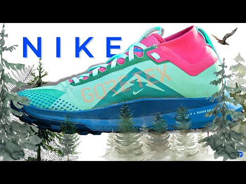 Nike React Pegasus Trail 4 Gtx
