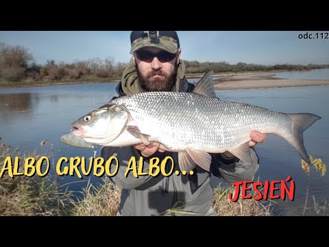 JESIENNY SPINNING NA GRUBO / WIŚLANE BOLENIE #odc.112 #handmade #spinning #boleń #Wisły #wędkarstwo