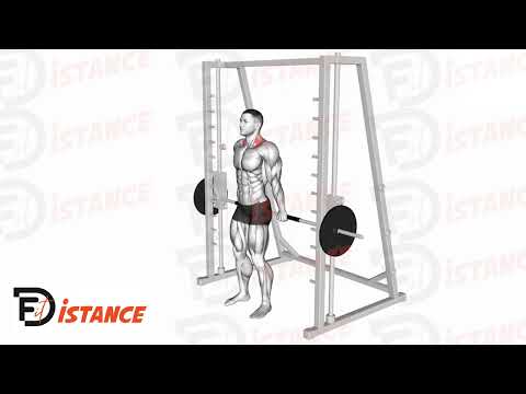 Exercice Shrugs à la machine guidée (smith)