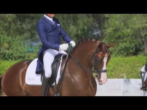 José Antonio García Mena & Jumeaux ,campeón de España de Critérium doma 2023 , Hípica Las cadenas