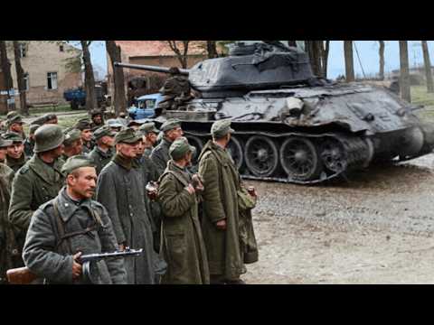 The Halbe Pocket 1945: The Destruction of the German 9th Army