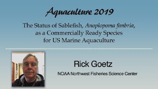 Download Lagu Rick Goetz: Sablefish, Anoplopoma fimbria, Aquaculture Thumbnail