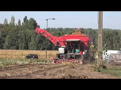 Van Bruwaene R en zn.: Aardappel rooien.