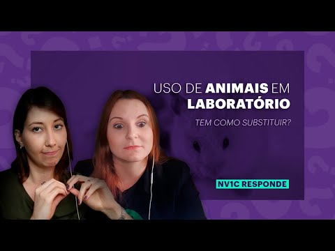 Miniatura do vídeo
