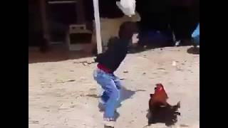 Anak Kecil Berantem Sama Ayam Kocak Abis