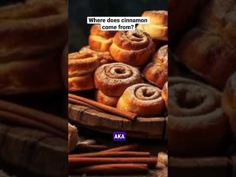 Where does Cinnamon Come from?