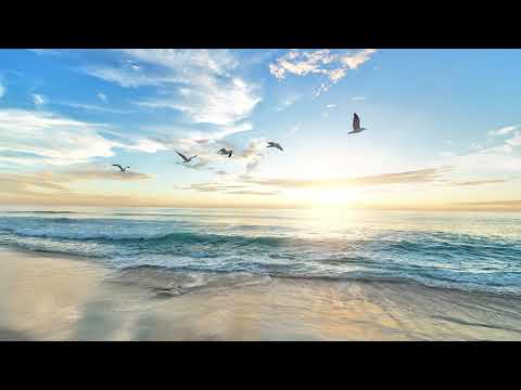 Corul Betleem Londra Ostasii lui Hristos - SPRIJIN IN CLIPA GREA