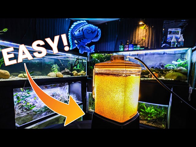 Judge.me YouTube video placeholder