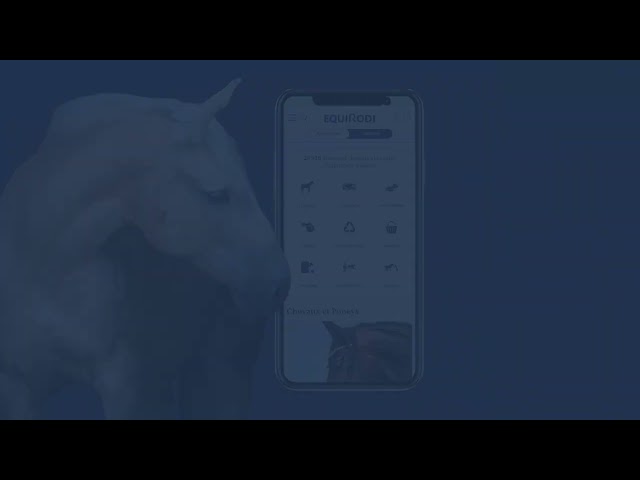 Yegua Silla Francés En venta 2021 Alazán