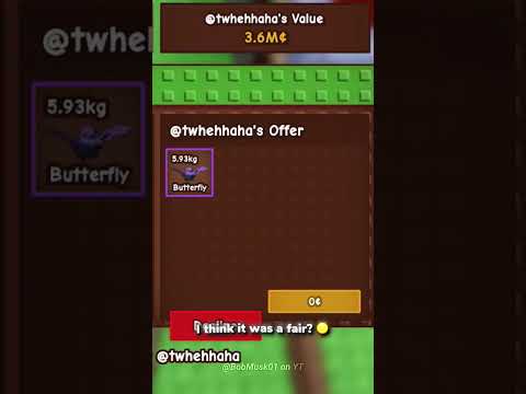 W or L for a Butterfly? 🦋 