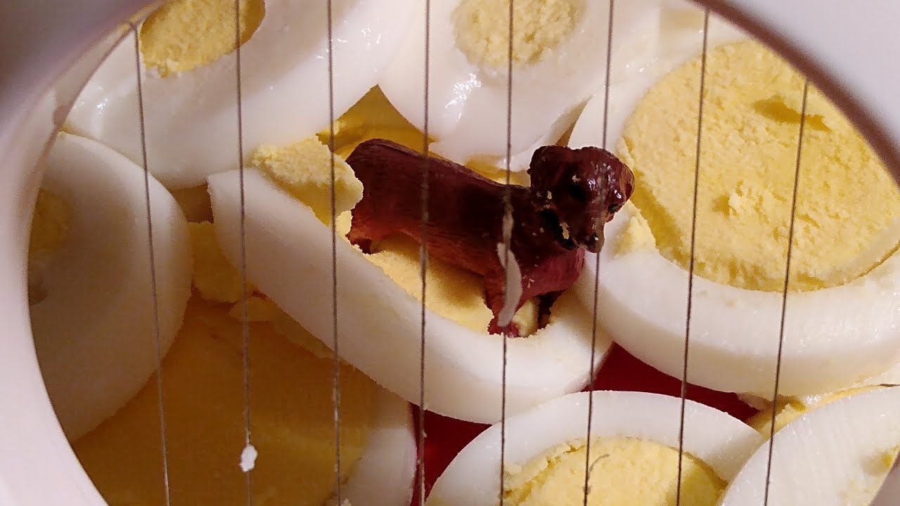 Unboxin Doxin - Crofton Egg Slicer