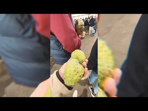 Sydney market, the best Vietnamese food in Sydney and donuts 🍩