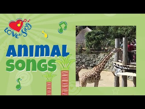 We're Going to the Zoo Song 🦁 🐵 🦒 | Kids Nursery Rhyme | Children Love to Sing