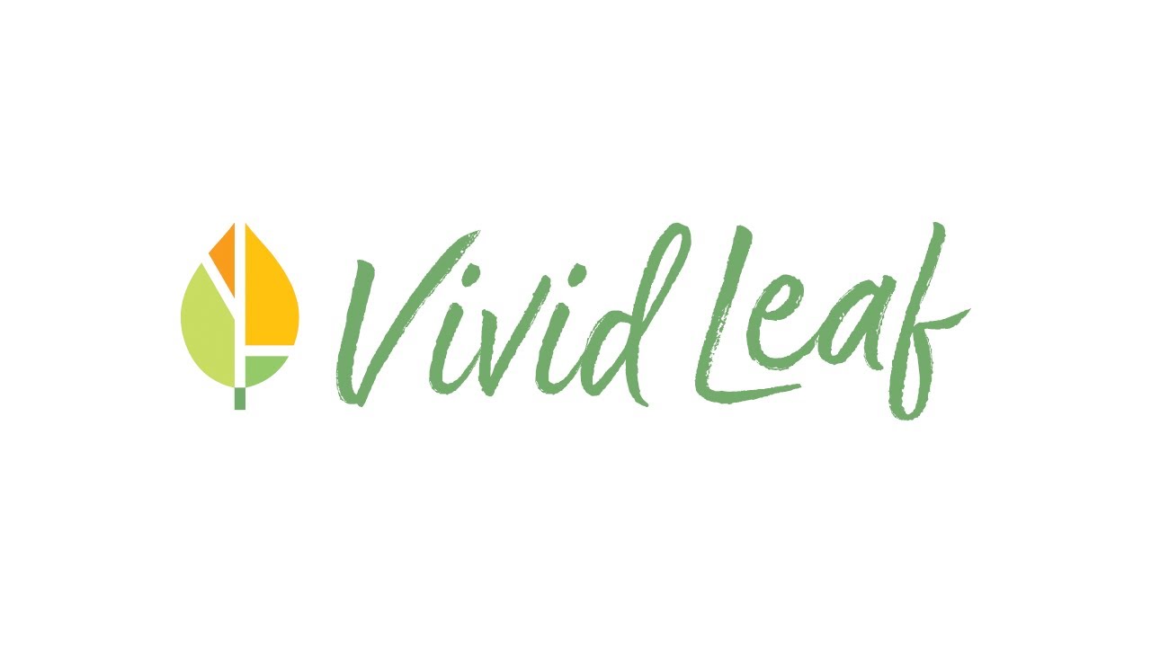 Vivid Leaf Dashboard Introduction
