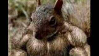Propain-Squirrel Season