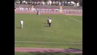 Blade vom Drachenherz Abt. C FCI WM 2007