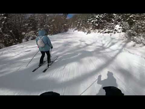 Partia Cocosul Predeal martie 2022