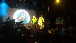 The Aquabats and Puddles Pity Party perform “Hello Goodnight” live