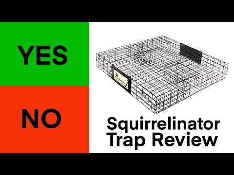 WE CAUGHT 3 SQUIRRELS IN 2 HRS | RUGGED RANCH SQUIRRELINATOR TRAP | THE TRAP THAT ACTUALLY WORKS
