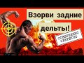 Самые эффективные упражнения для задних дельт.