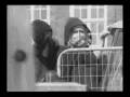 Svensk Ungdom - Frågor till far 