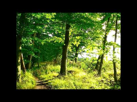 SHORES OF PANGEA – Jig of Slurs & Atholl Highlanders (Scottish Folk)