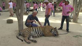 preview picture of video 'Tiger Temple Bangkok'