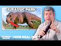 Paleontologist Rates 14 Dinosaur Attacks In The Jurassic Park Movies How Real Is It Insider
