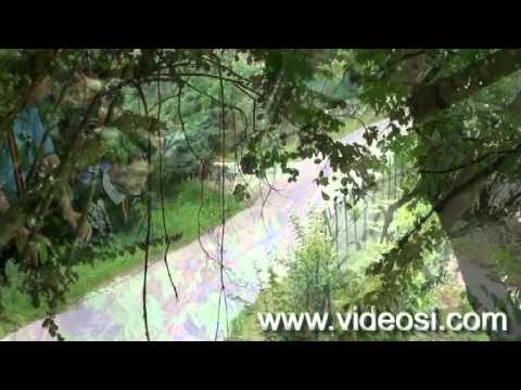 Ronde Città di Negrar 2011 incidente BMW