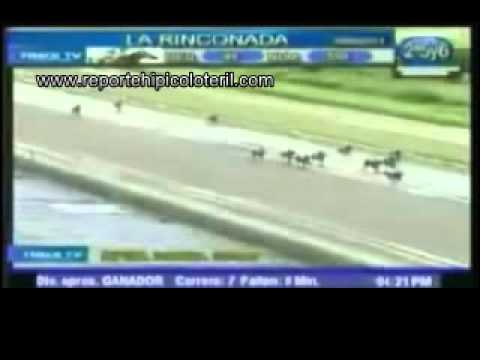Resumen Domingo 19 de junio de 2011 - La Rinconada