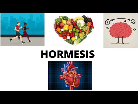 What is Hormesis ? II How mild to moderate stress helps us ?