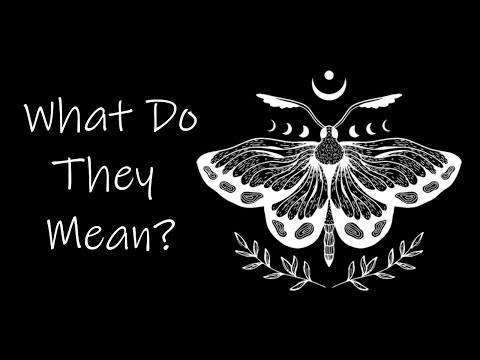 The Symbolism of Moths