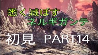 [MHWI実況]ネルギガンテ特殊個体の火力がヤバイ！PART14[モンスターハンターワールドアイスボーン]