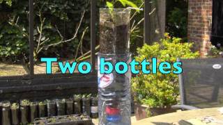 HOW TO GROW PLANTS IN BOTTLES