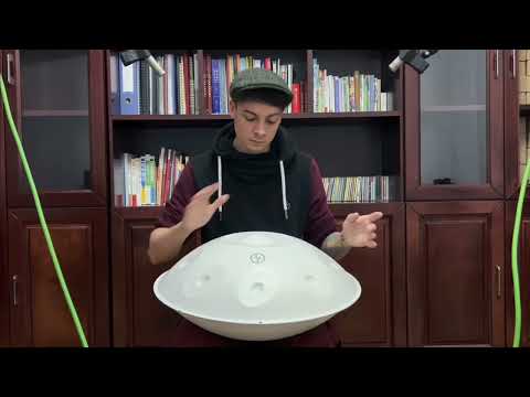 BeatRise 「ProSonic」Series Handpan - D Kurd 9 - Marcel Hutter