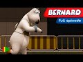 Bernard Bear 135 Marathon 3