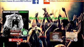 Martin Garrix vs. Evol Waves - Animal Inferno  (David Guetta Mashup)
