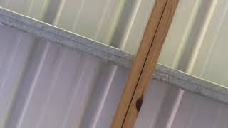 2017 Bigdog Specklebelly Goose Call by Redbone - Seth Ousley