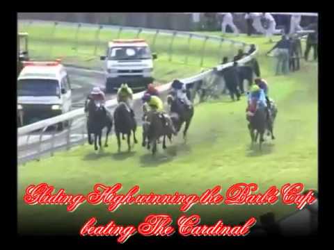 2010 - Gliding High winning the Barbé Cup (Maigrot Stable)